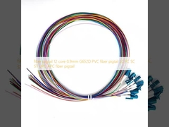 Glasfaser-Pigtail 12 Fasern 0,9 mm G652D PVC-Glasfaser-Pigtail LC FC SC ST UPC APC Glasfaser-Pigtail