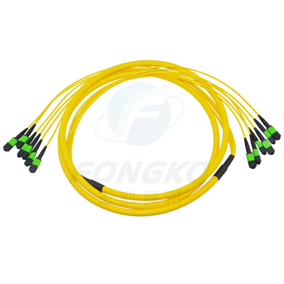 MPO MTP FTTH Fiber Optic Patch Cord Multimode Männlich Weiblich LC-MPO 12 Kerne