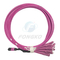 8 Faser OM4 MPO zu LC-Verbindungskabel MPO LC-Faser-zum Optikausbruch-Kabel